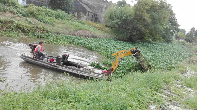 綠化種植及維護(hù)